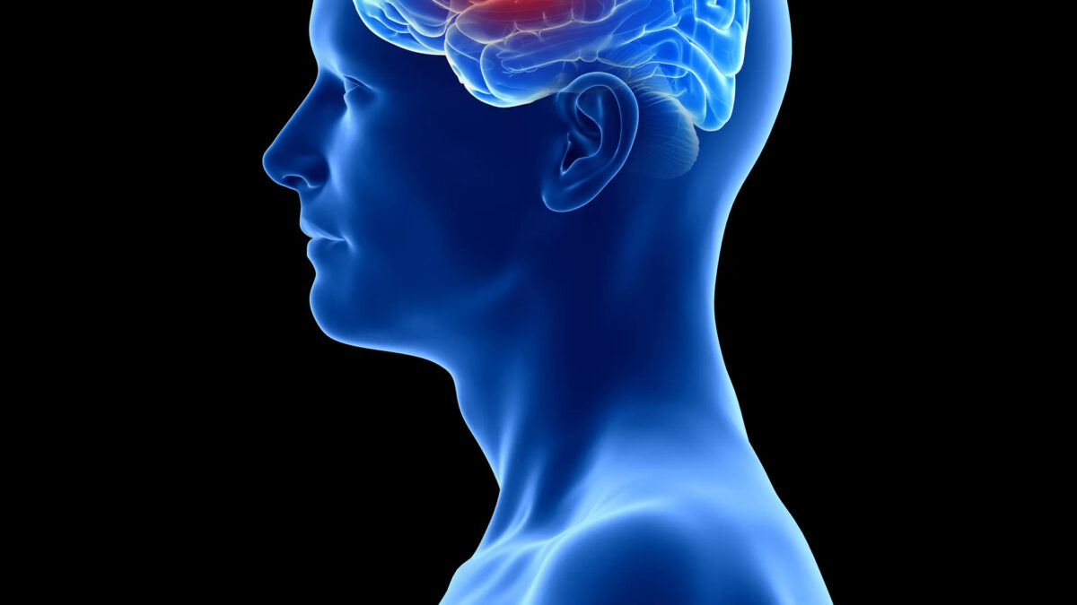 Medical illustration showing a blue head and neck with a red brain tumor highlighted inside the brain, viewed from the side.